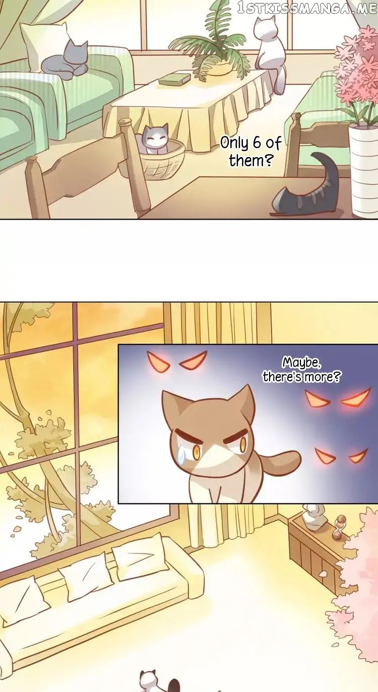 Under The Paws of Cats chapter 8 - page 18