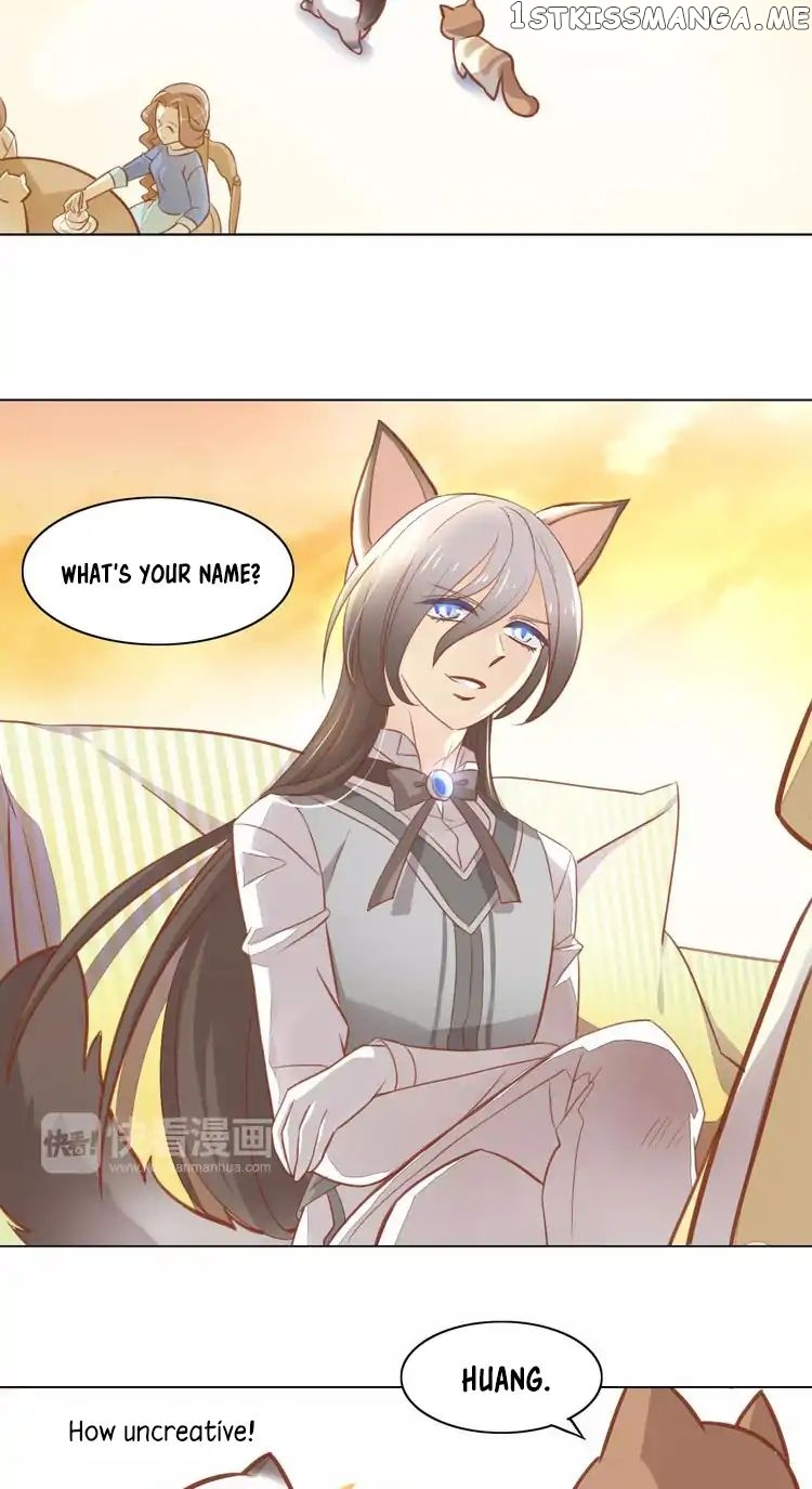 Under The Paws of Cats chapter 8 - page 19