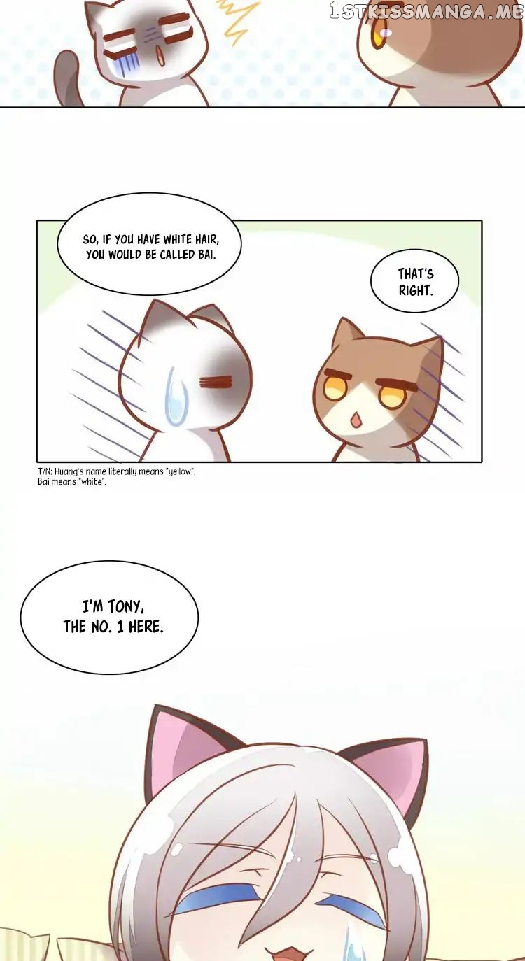 Under The Paws of Cats chapter 8 - page 20
