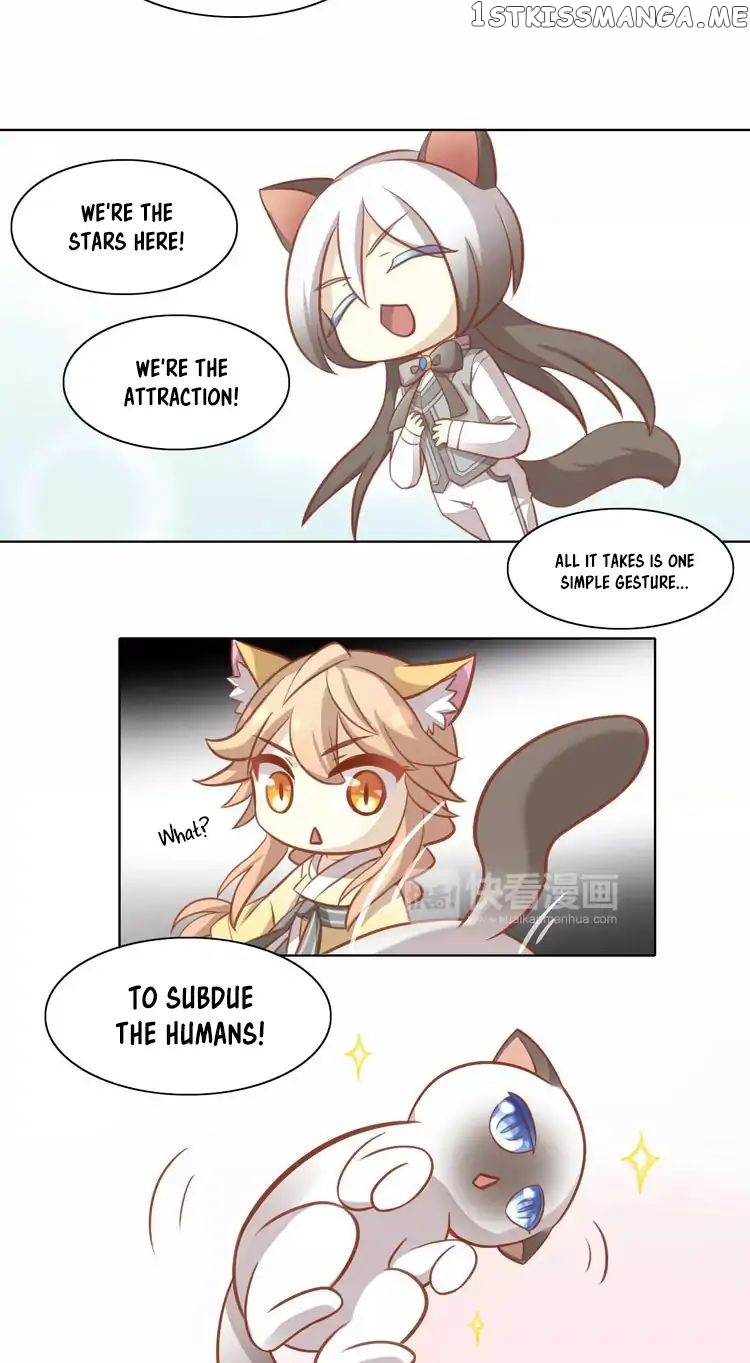 Under The Paws of Cats chapter 8 - page 24