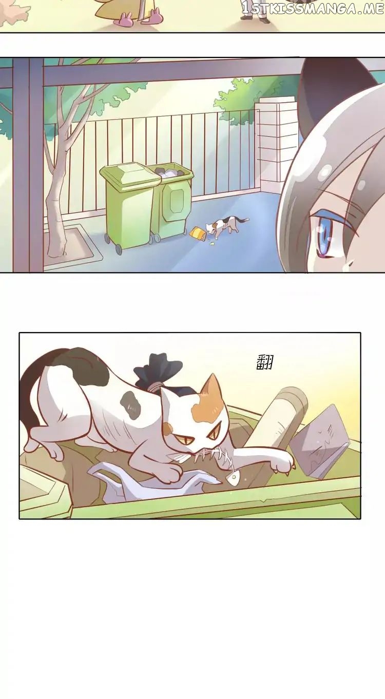 Under The Paws of Cats chapter 8 - page 31