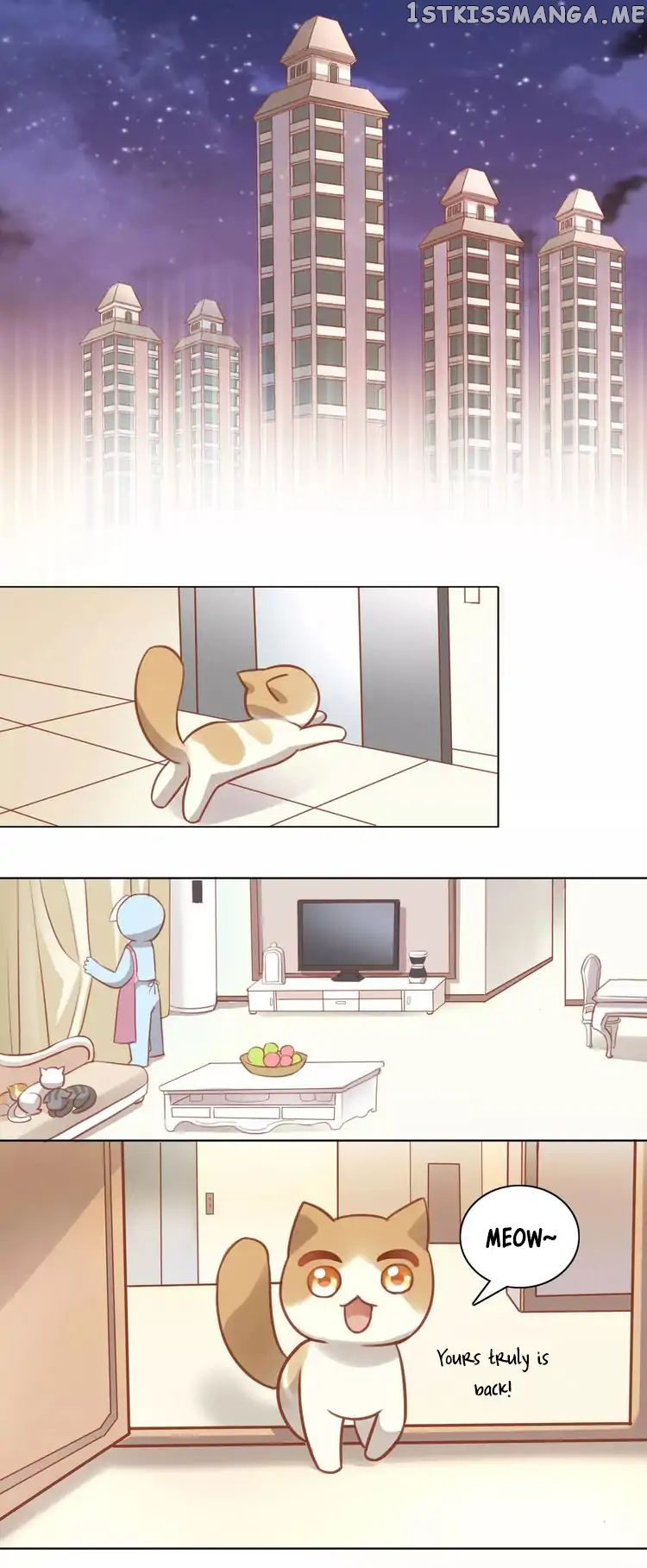 Under The Paws of Cats chapter 8 - page 36