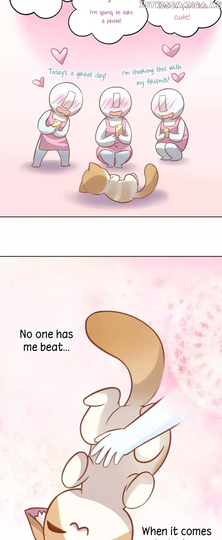 Under The Paws of Cats chapter 8 - page 38