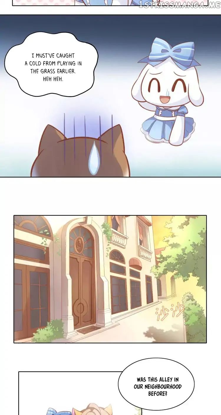 Under The Paws of Cats chapter 8 - page 5