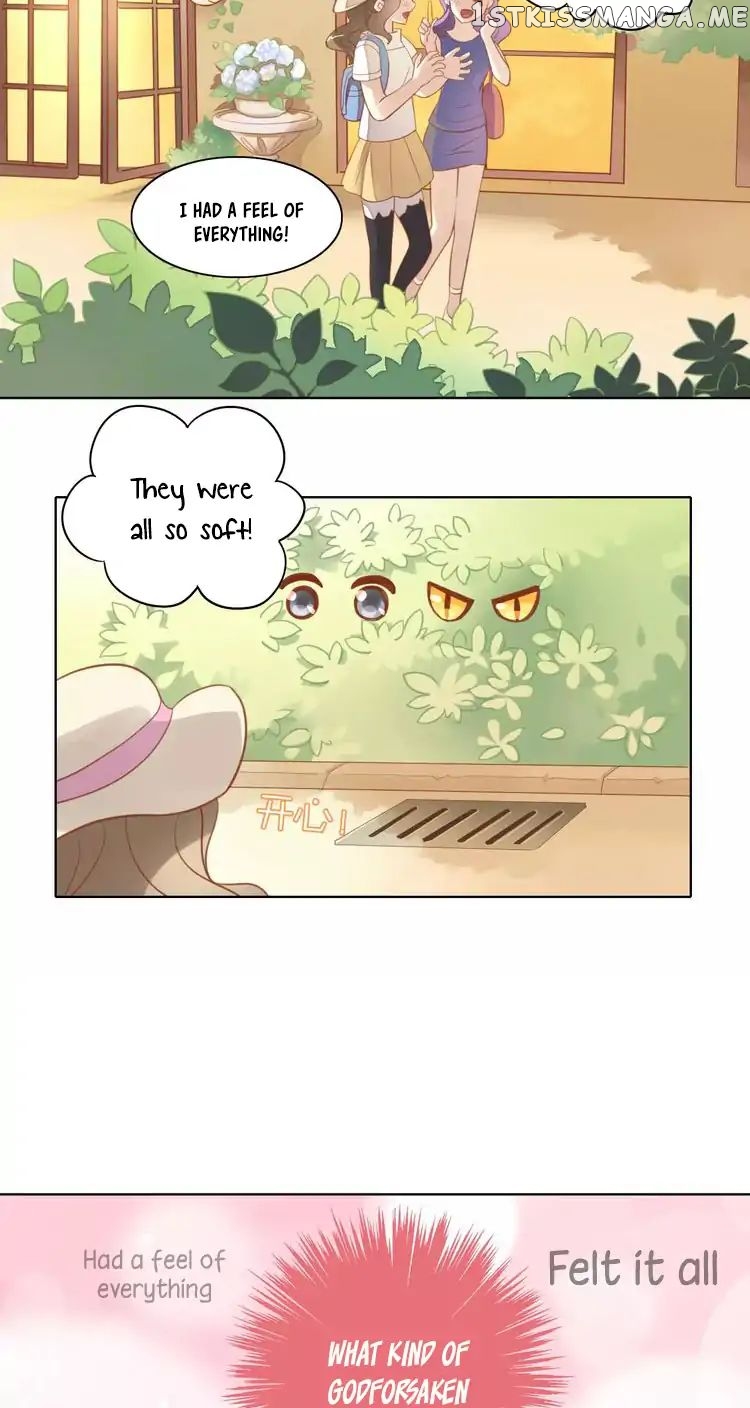 Under The Paws of Cats chapter 8 - page 7