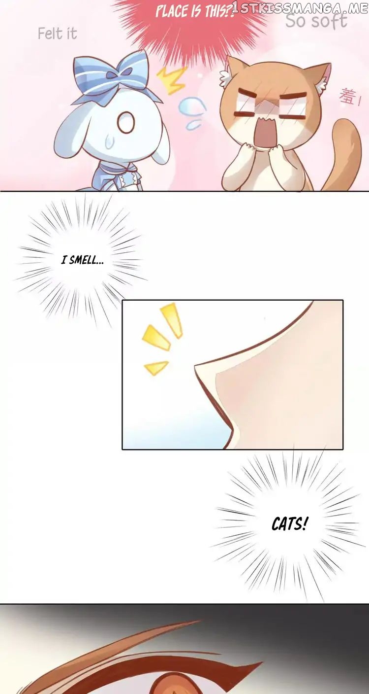 Under The Paws of Cats chapter 8 - page 8