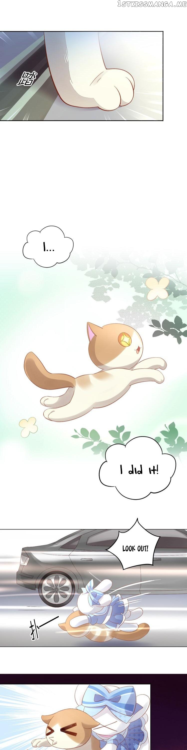 Under The Paws of Cats chapter 7 - page 16