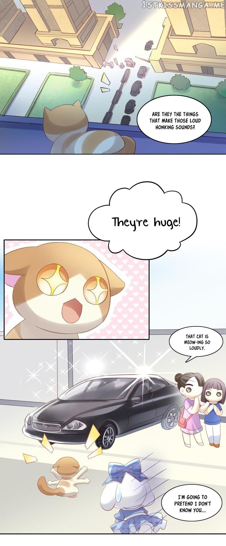Under The Paws of Cats chapter 7 - page 18