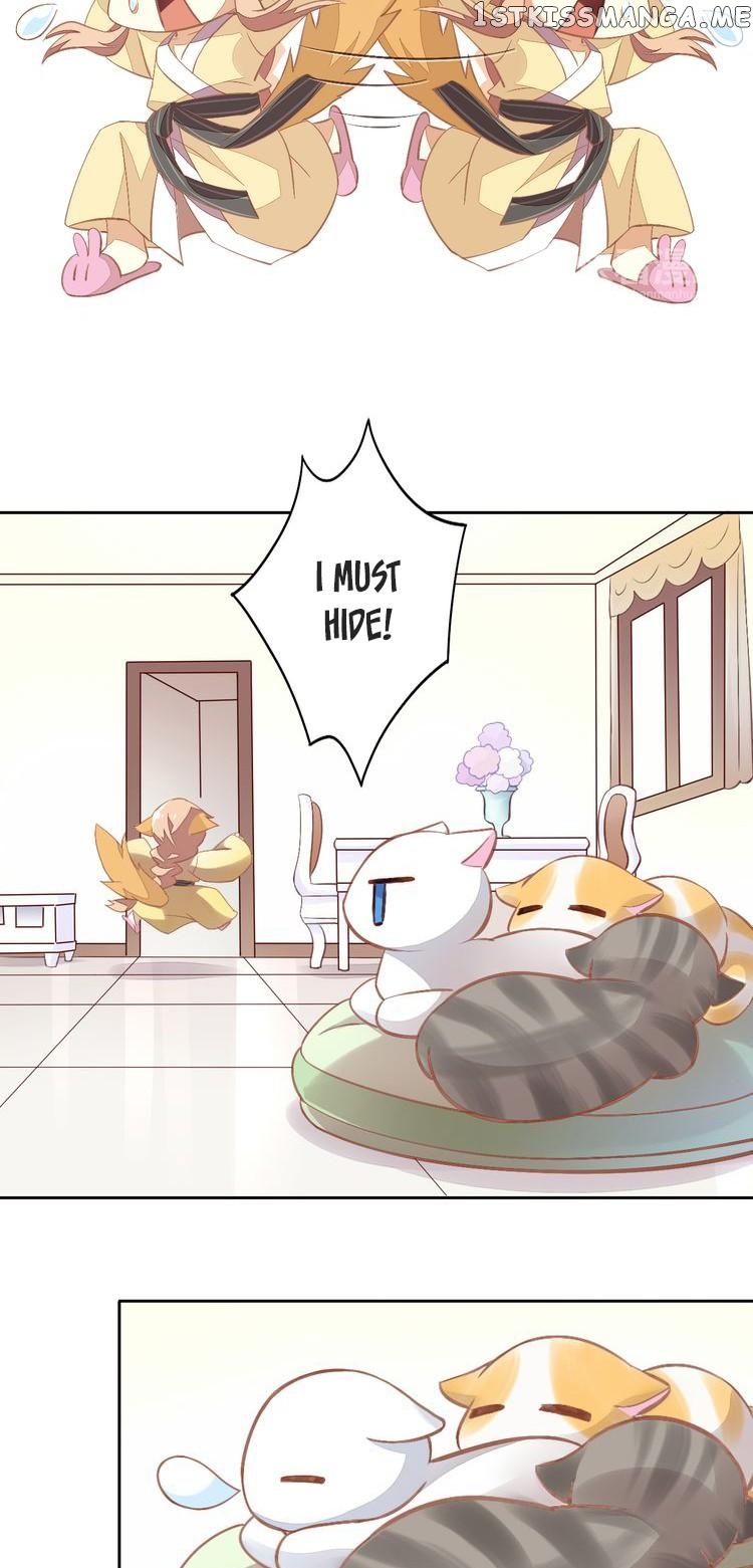 Under The Paws of Cats chapter 7 - page 4