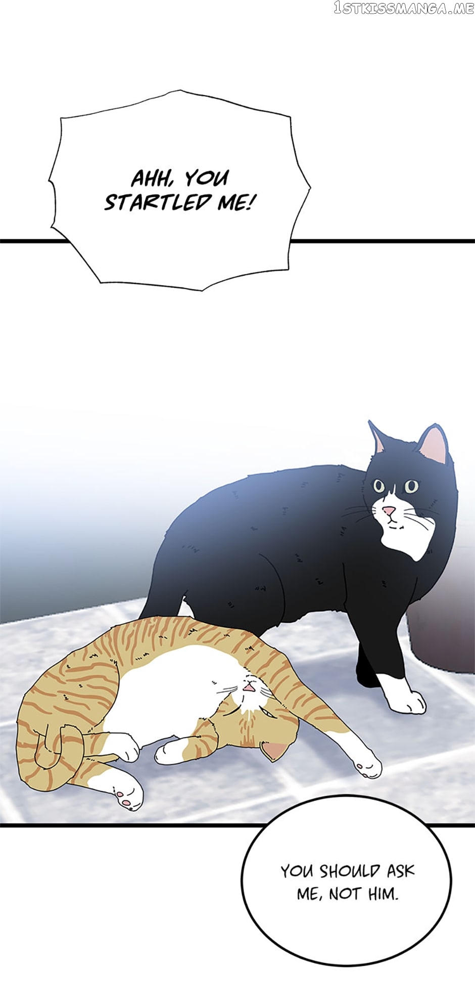 The Dignity Of Romance Chapter 35 - page 47