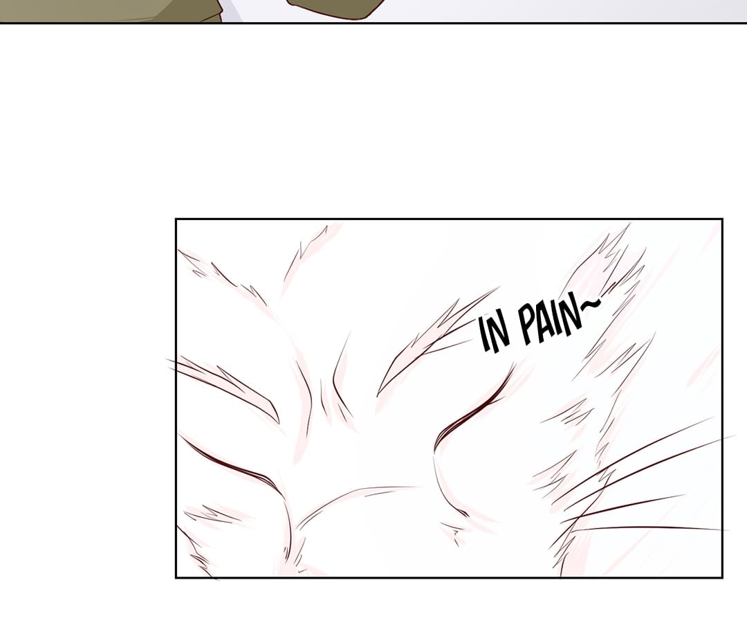I Have a Date With the Fox Spirit! Chapter 9 - page 27