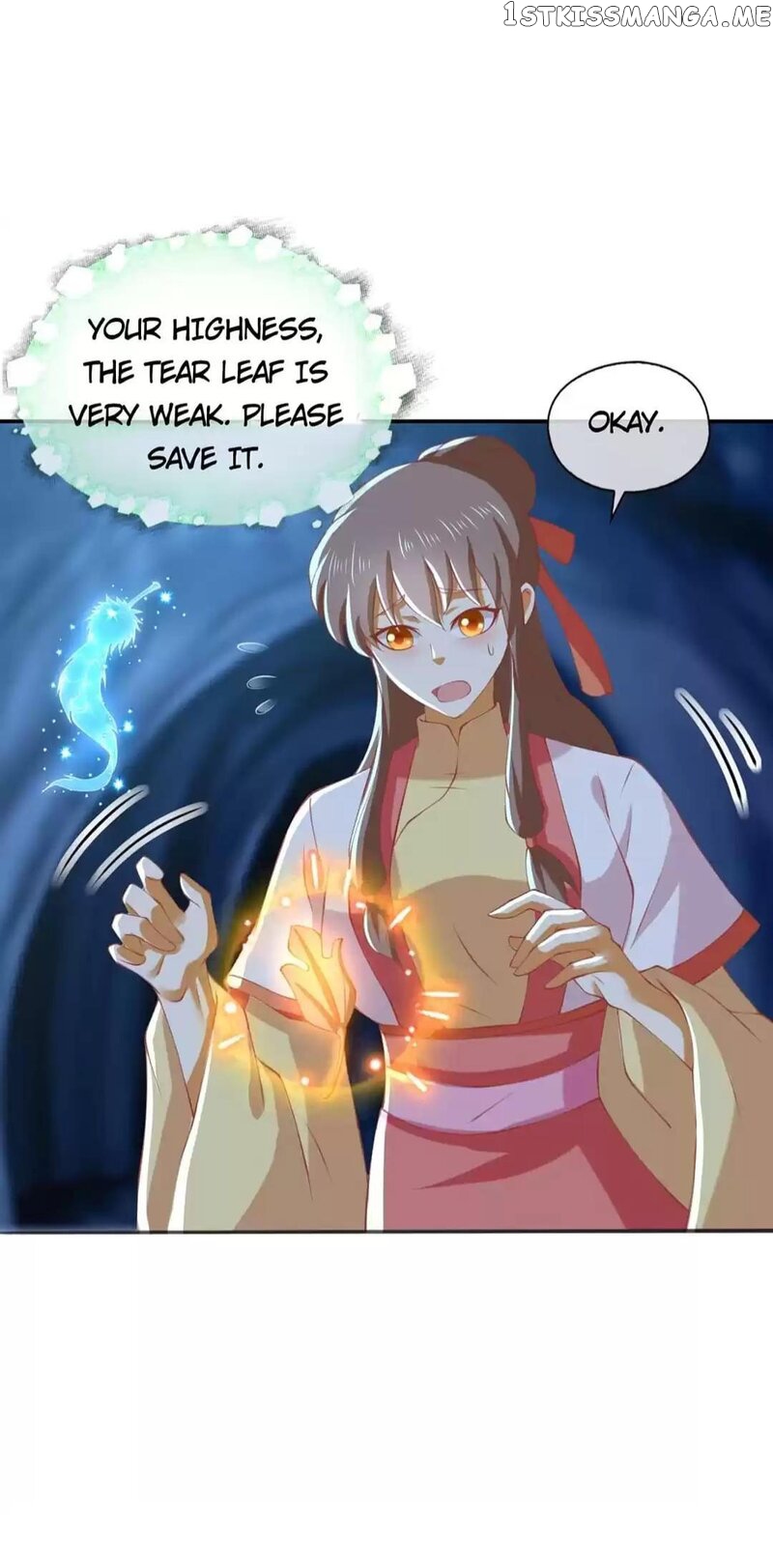The Princess of Vengeance ( The Evil King’s Wicked Consort ) chapter 141 - page 12