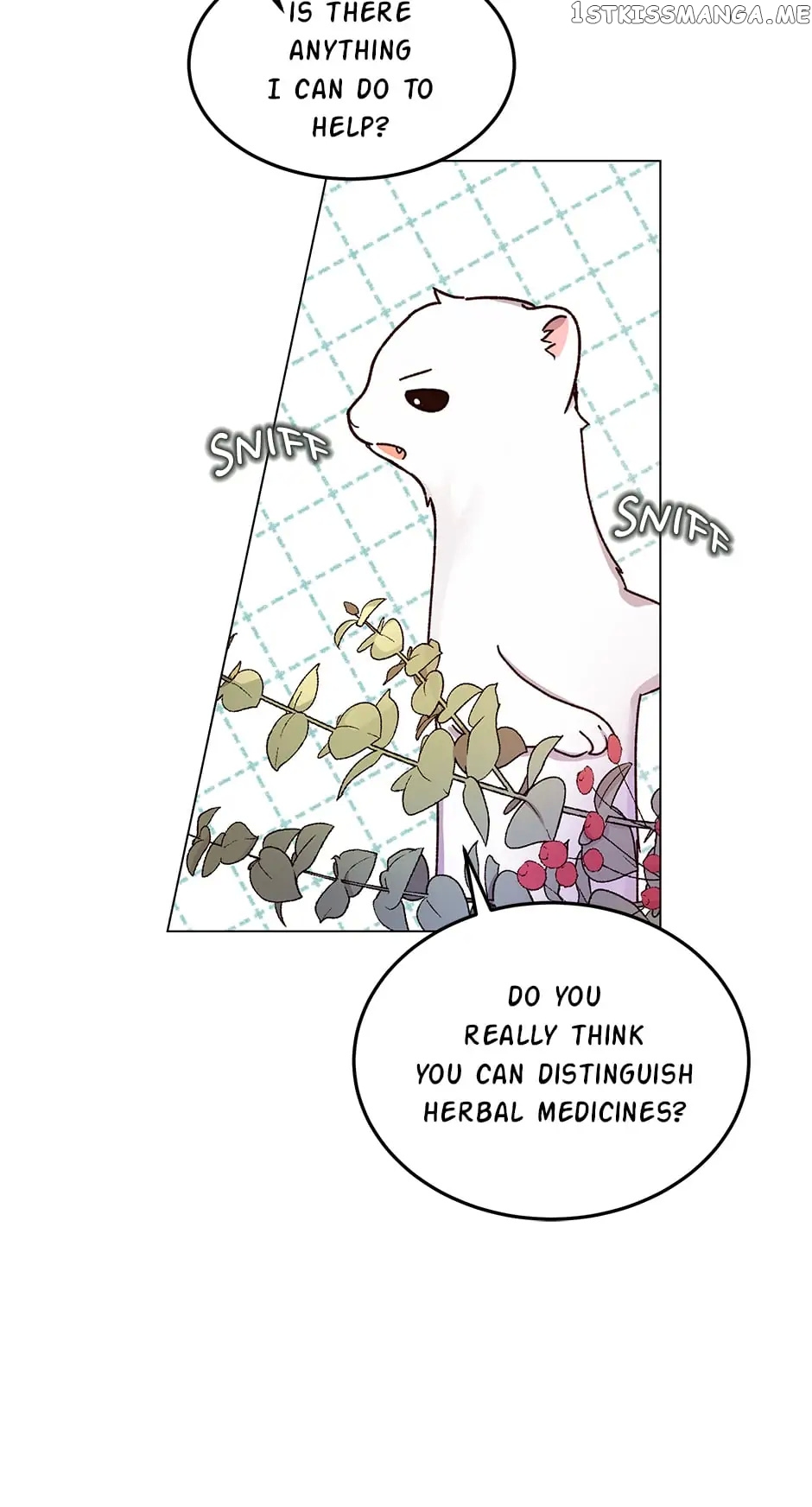 Cancel This Wish chapter 50 - page 35