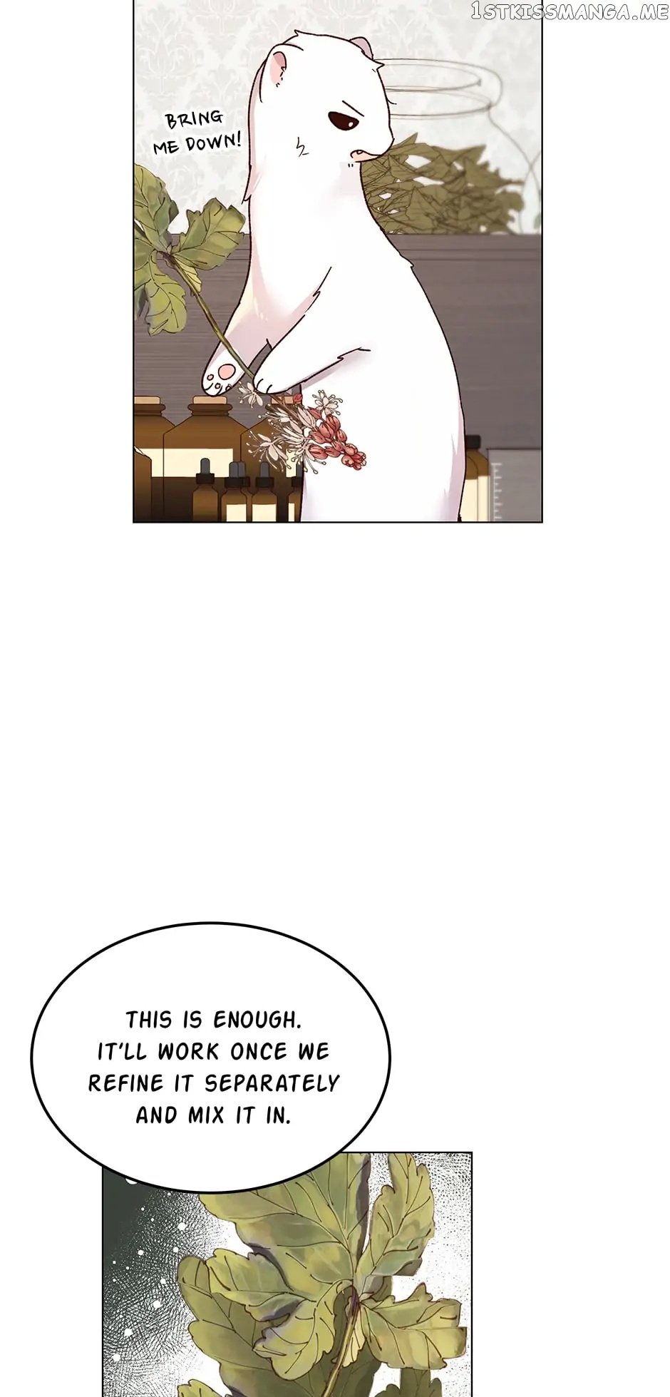 Cancel This Wish chapter 50 - page 37