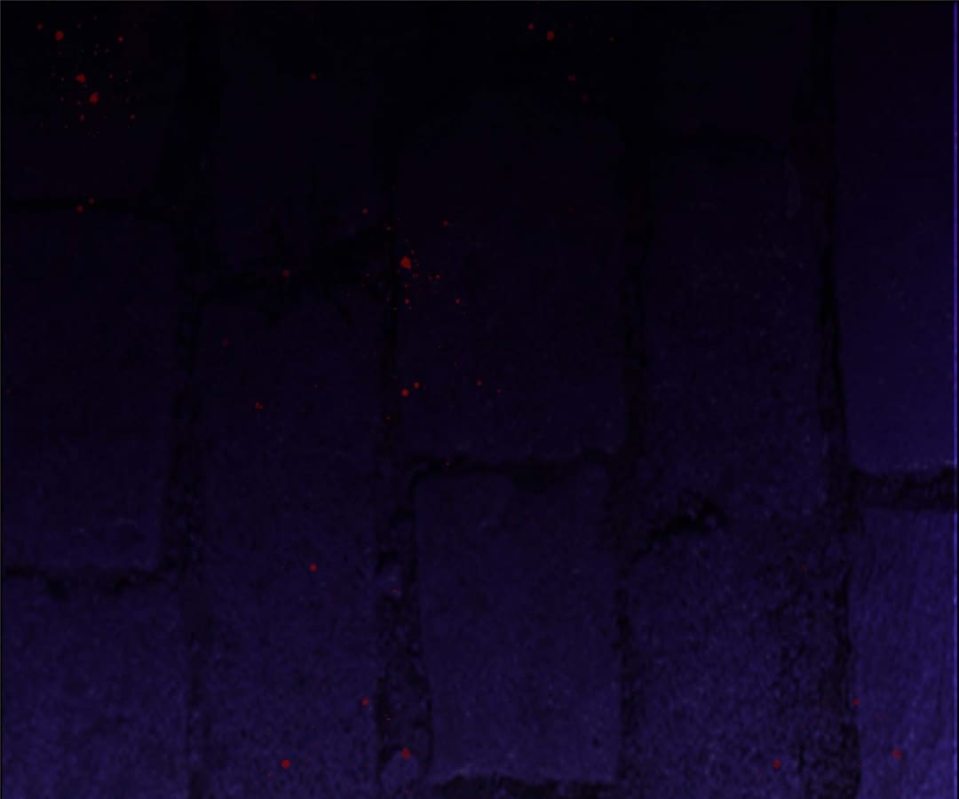 Rise of the Unfavored Princess Chapter 4 - page 66