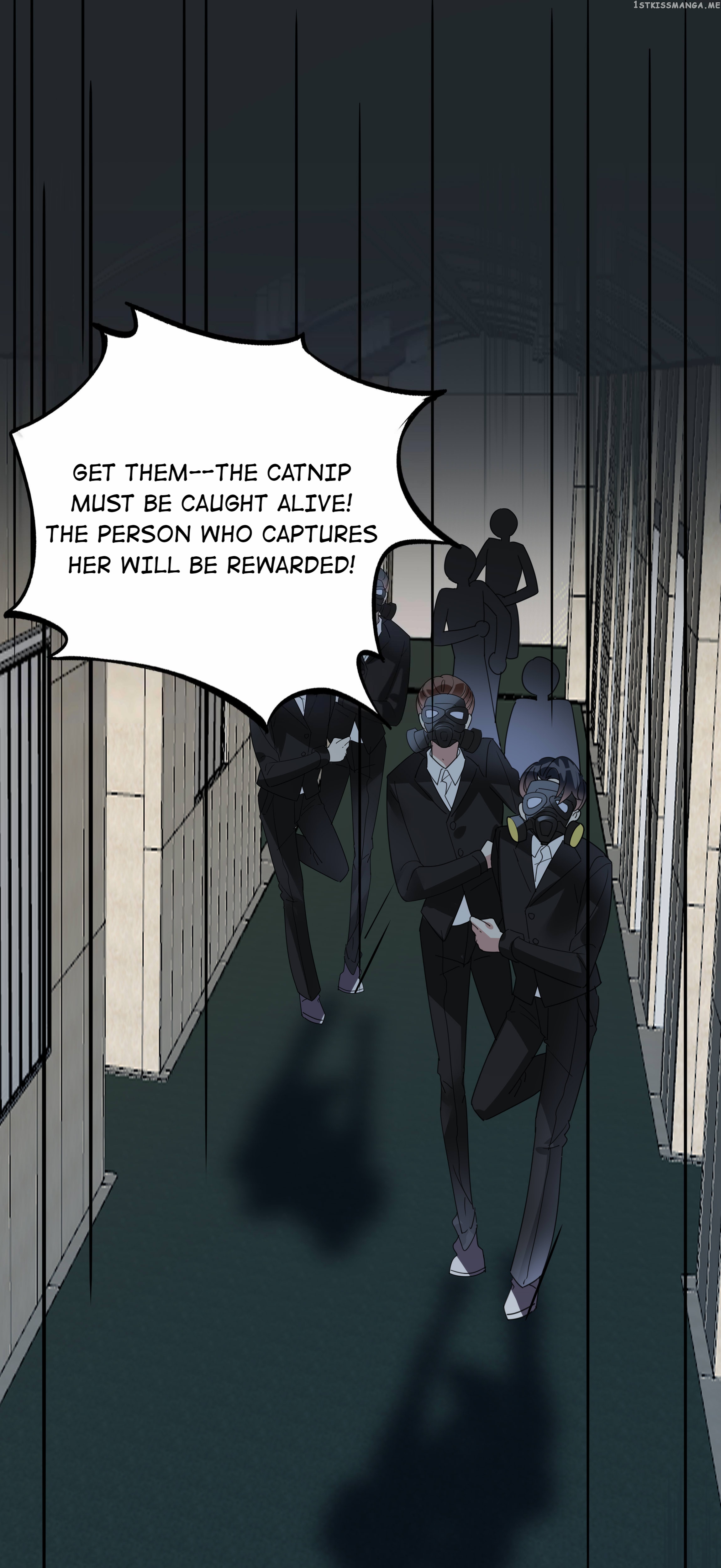 You Are My Catnip chapter 51 - page 19