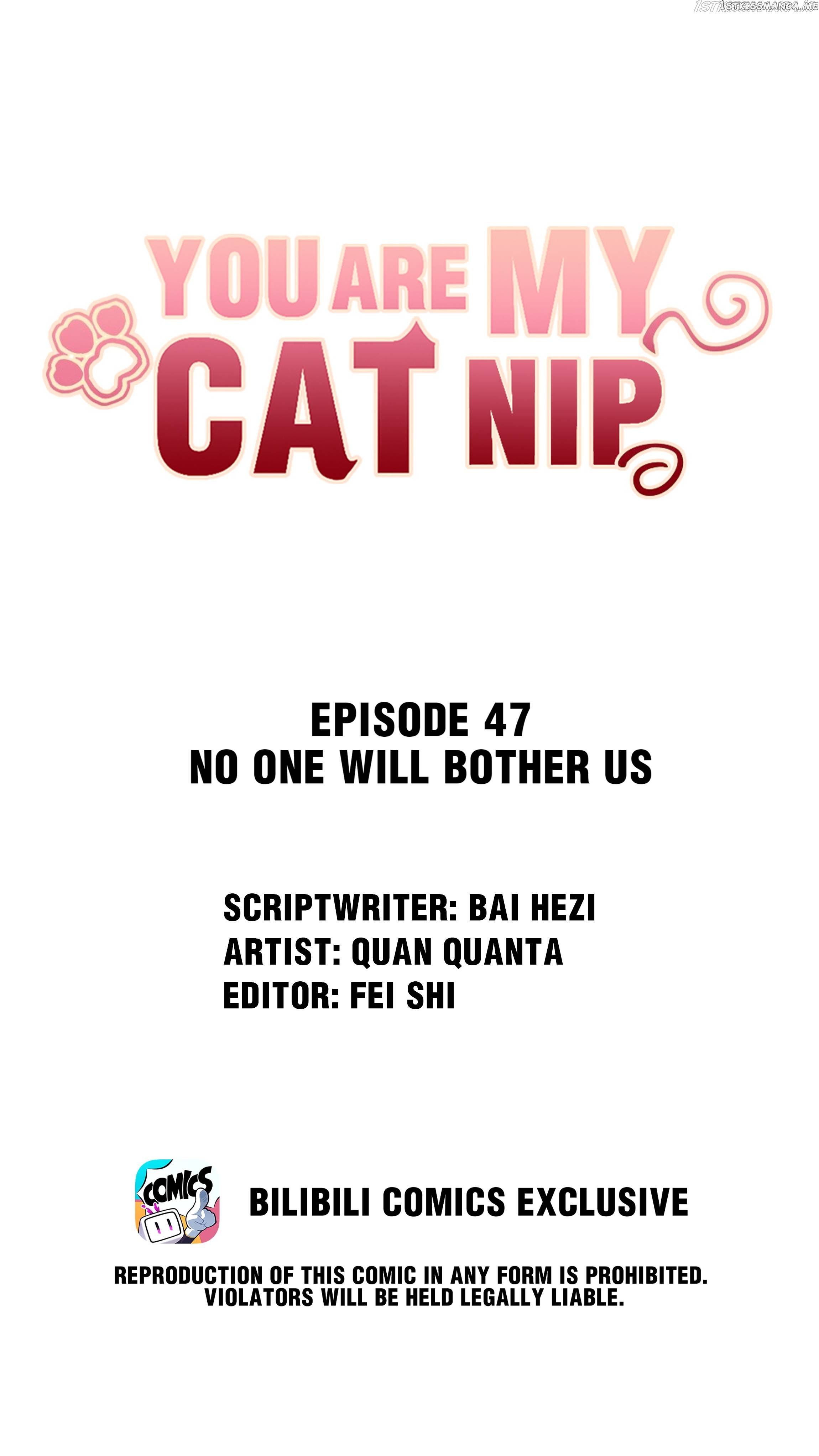 You Are My Catnip chapter 47 - page 1