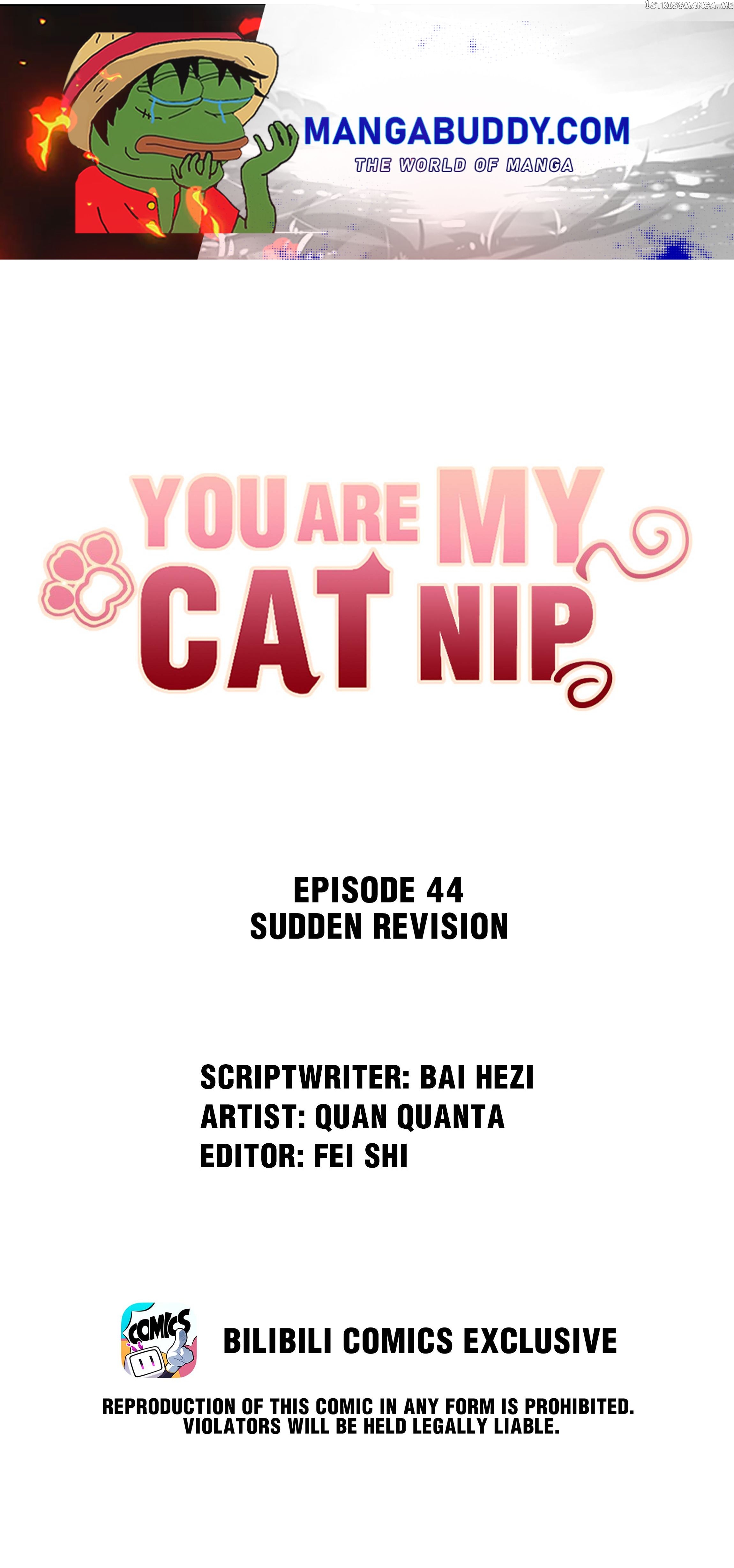 You Are My Catnip chapter 44 - page 1