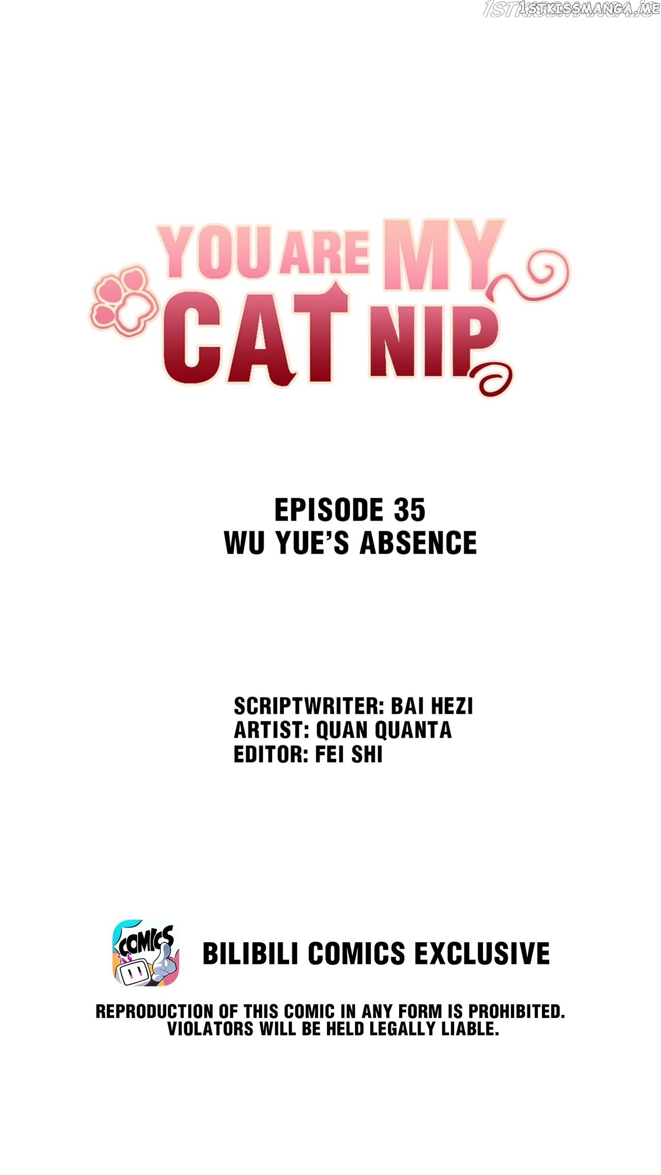 You Are My Catnip chapter 35 - page 1