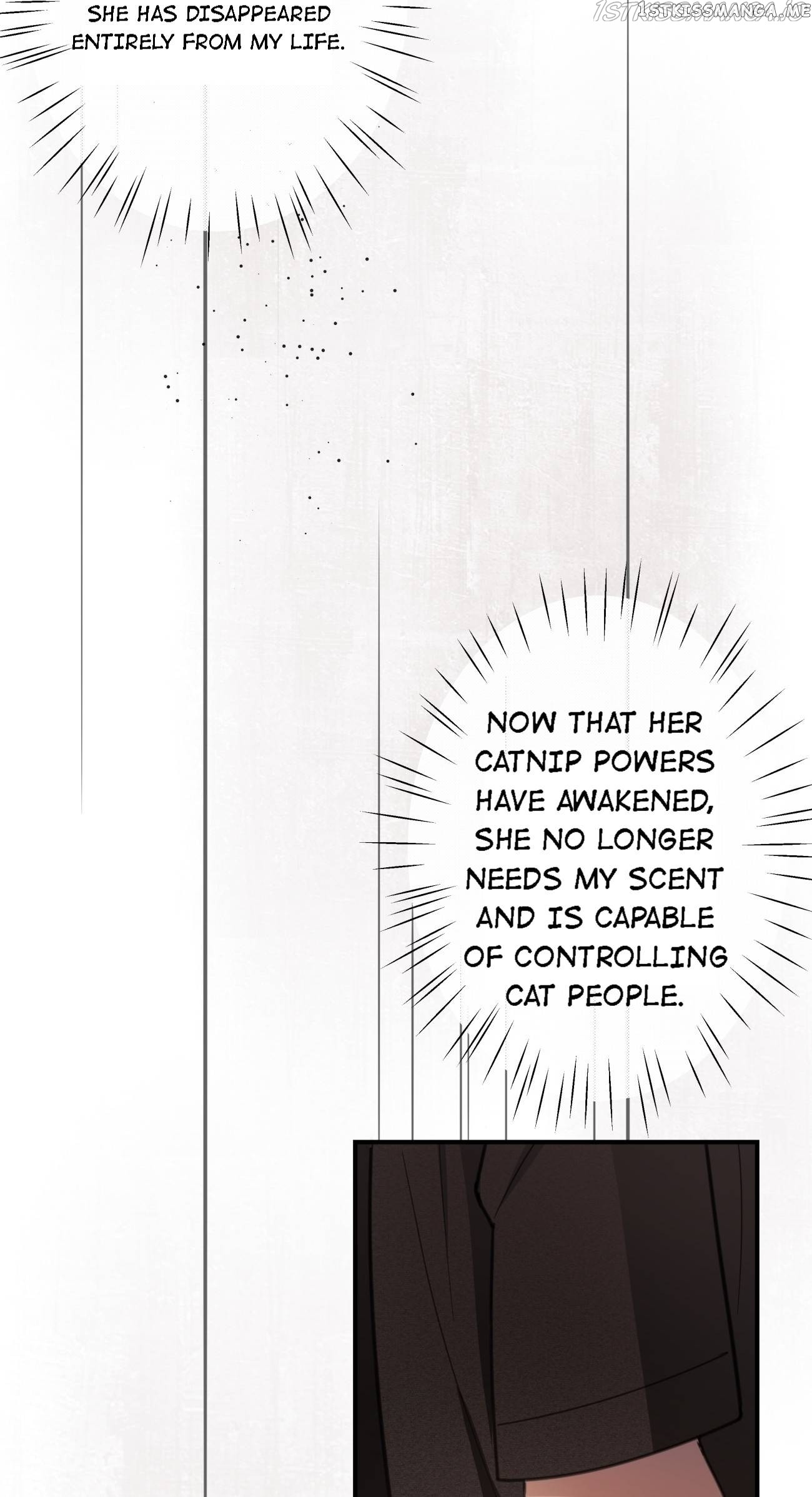 You Are My Catnip chapter 35 - page 23