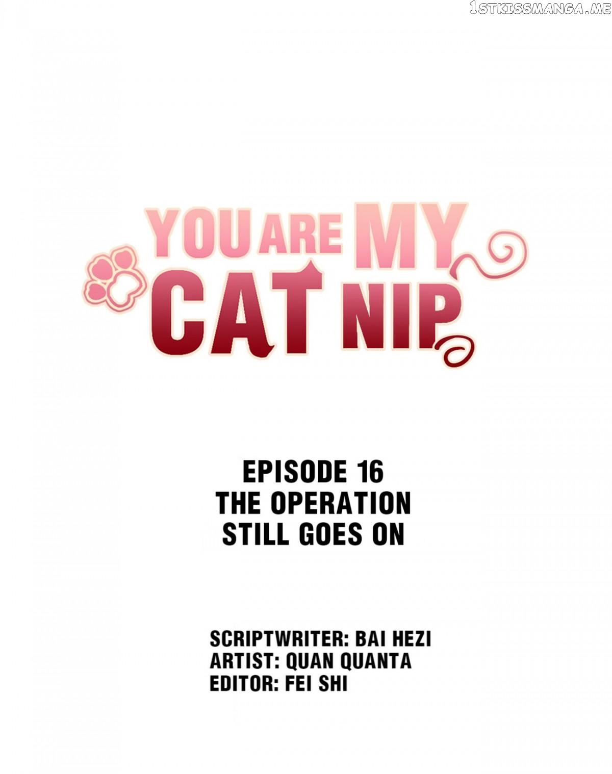 You Are My Catnip chapter 16.1 - page 2