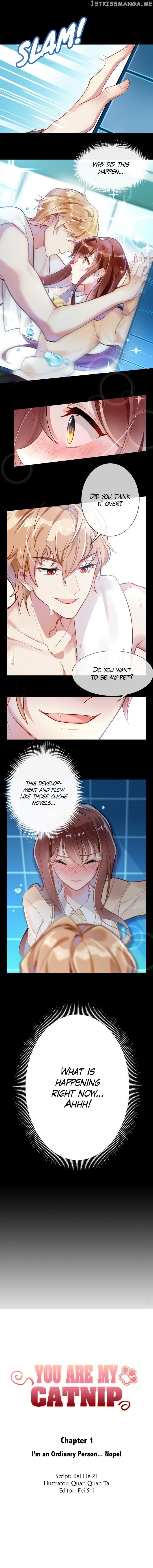 You Are My Catnip chapter 1 - page 1