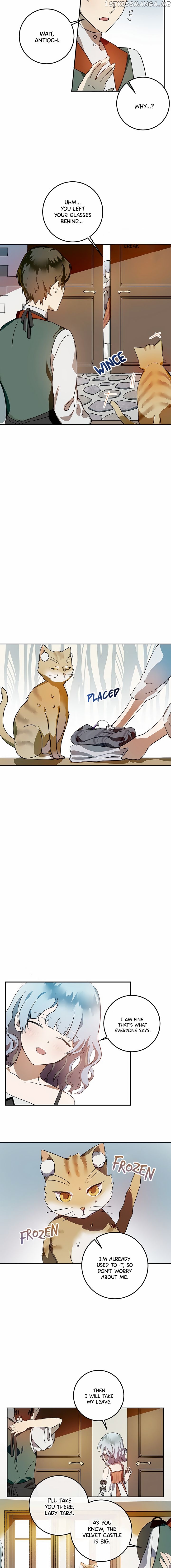 The Story of the Hated Mule chapter 6 - page 6