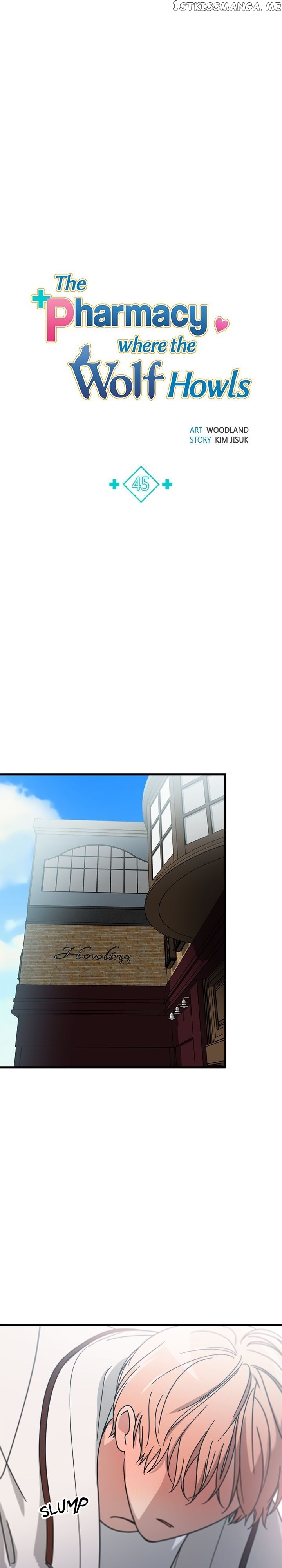 The Pharmacy Where The Wolf Howls chapter 45 - page 5
