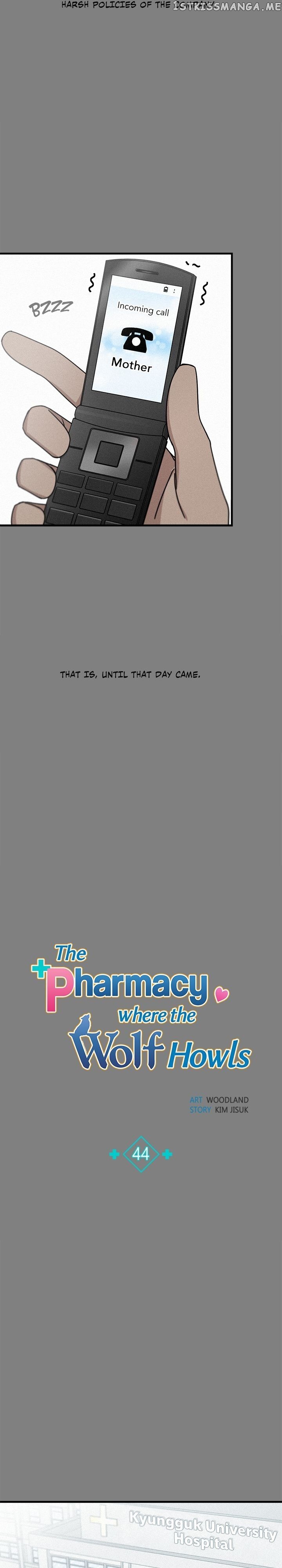 The Pharmacy Where The Wolf Howls chapter 44 - page 11