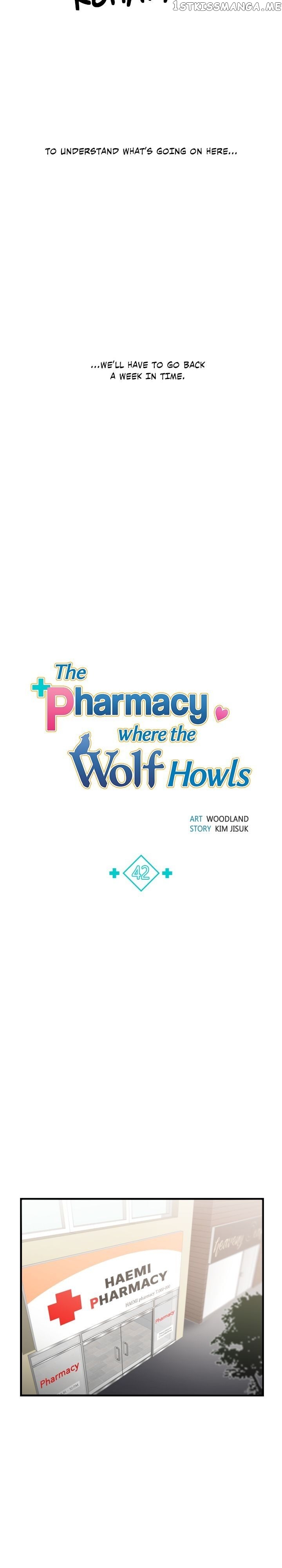 The Pharmacy Where The Wolf Howls chapter 42 - page 3