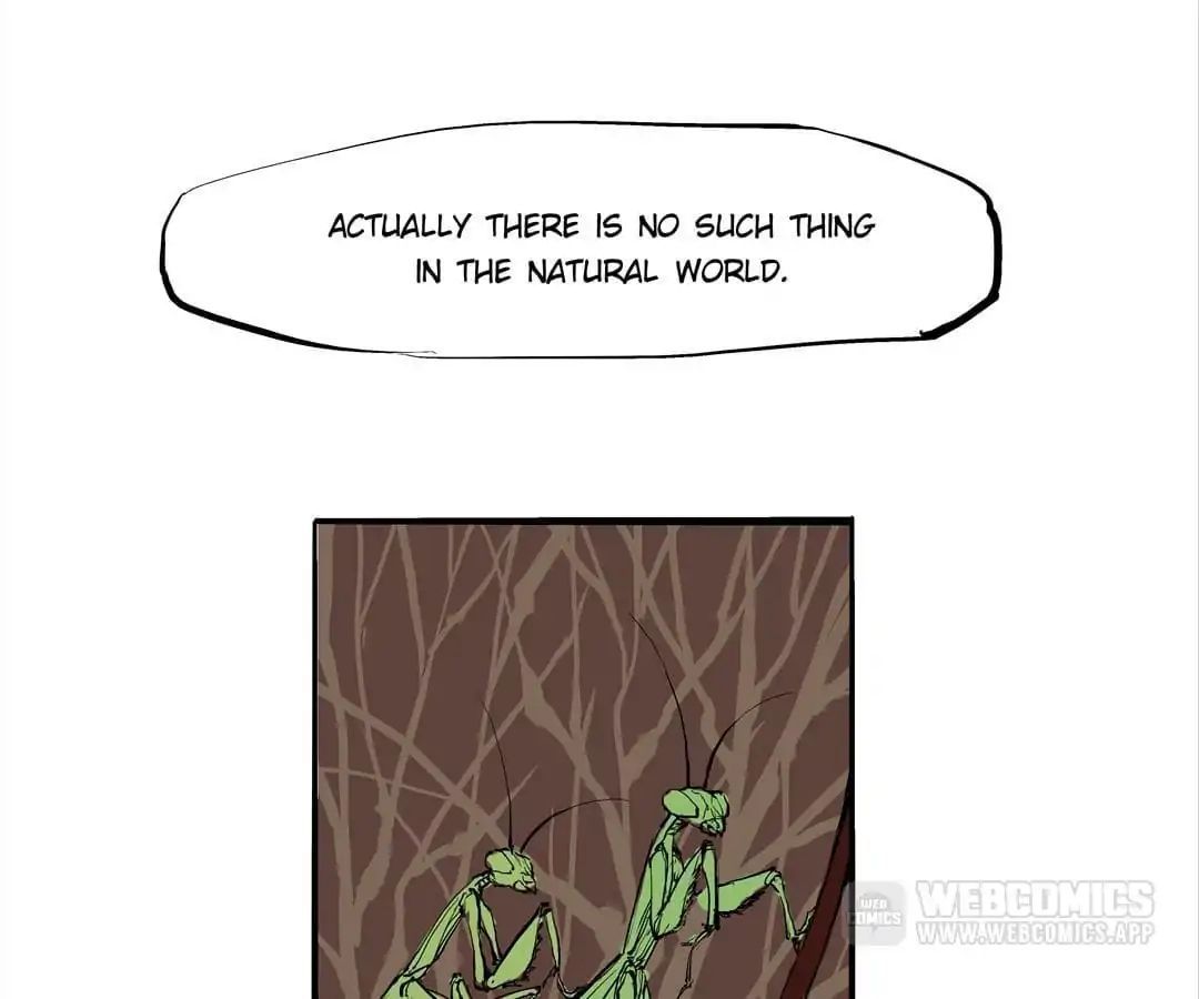 CICADA GIRL: Love Appraiser Chapter 14 - page 66
