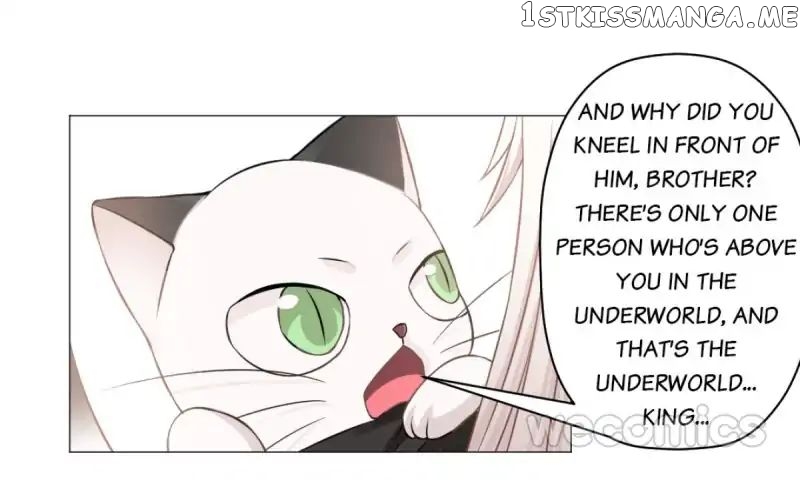 Cat & Sword chapter 35 - page 24