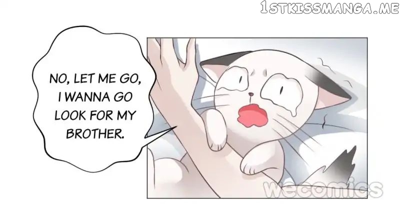 Cat & Sword chapter 31 - page 19