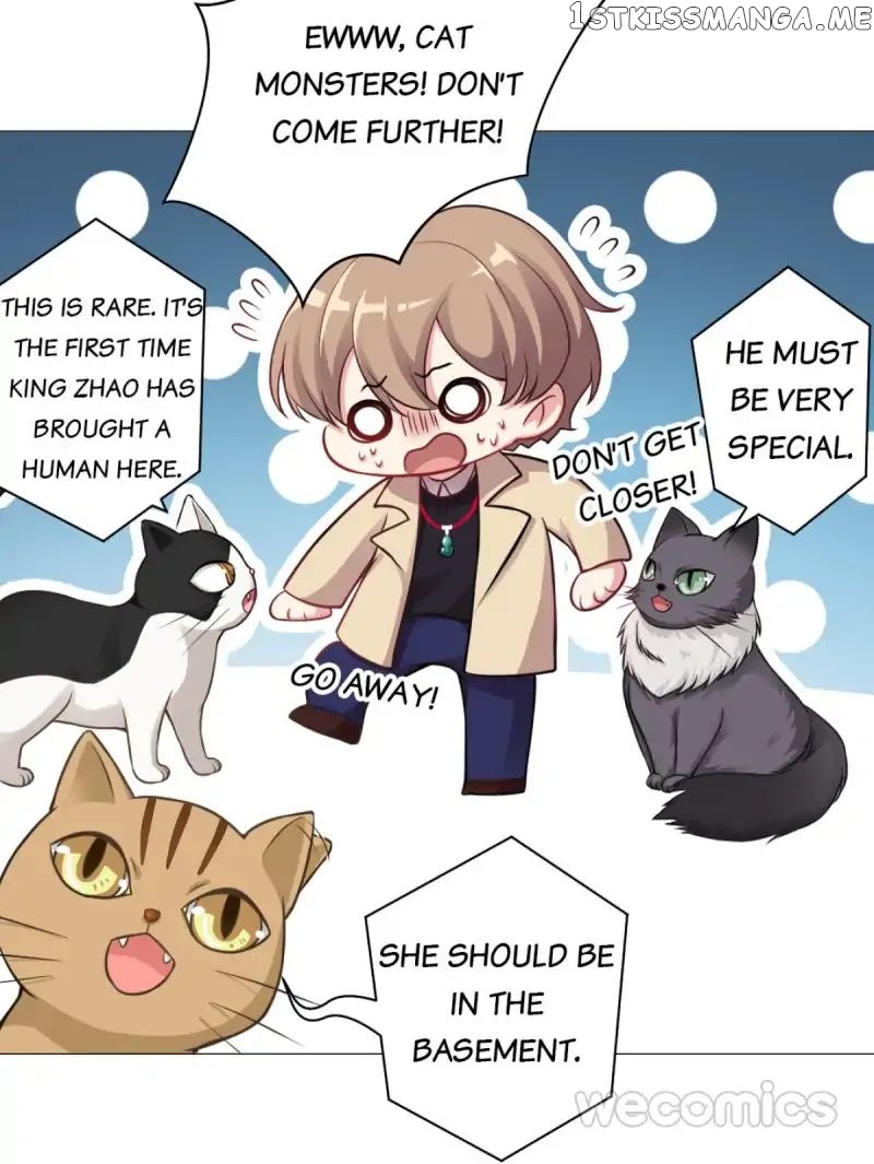 Cat & Sword chapter 16 - page 35