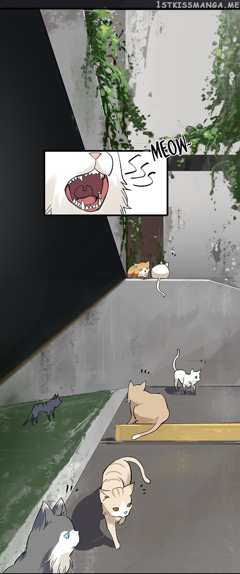 Hidden Road Of The Netherworld chapter 29 - page 10