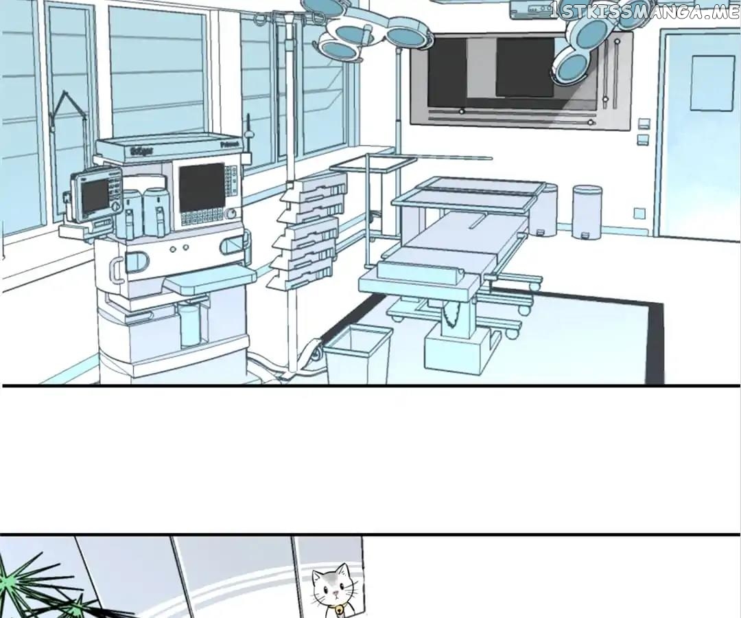 The Trap Of Hormones chapter 1 - page 5