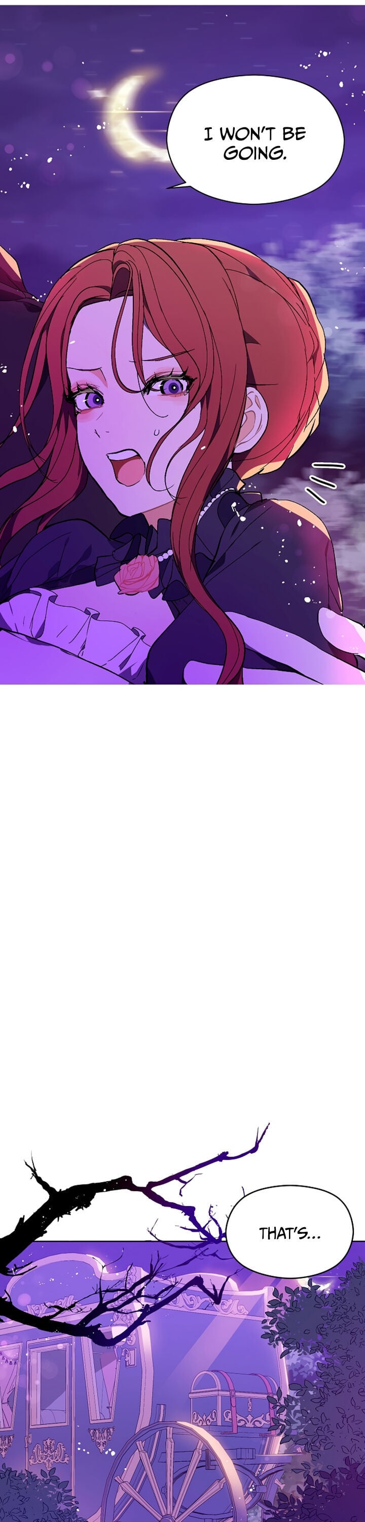 I Didn’t Mean to Seduce the Male Lead chapter 11 - page 13