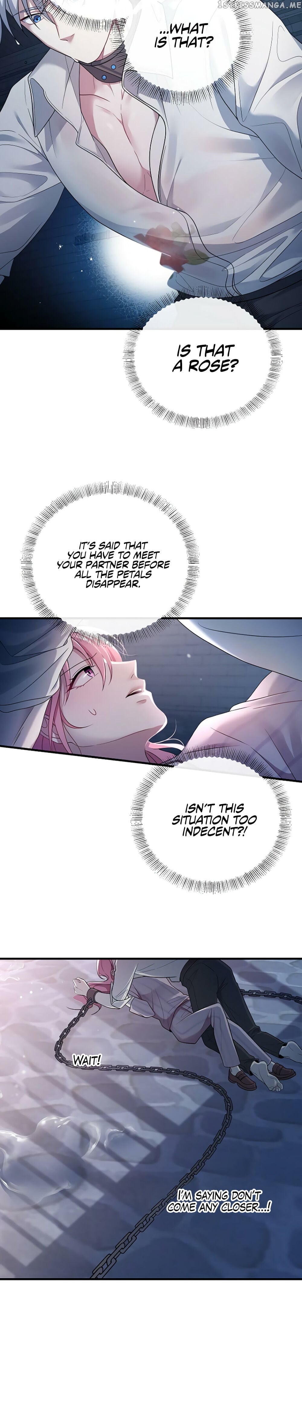 I Met the Male Lead in Prison chapter 5 - page 4