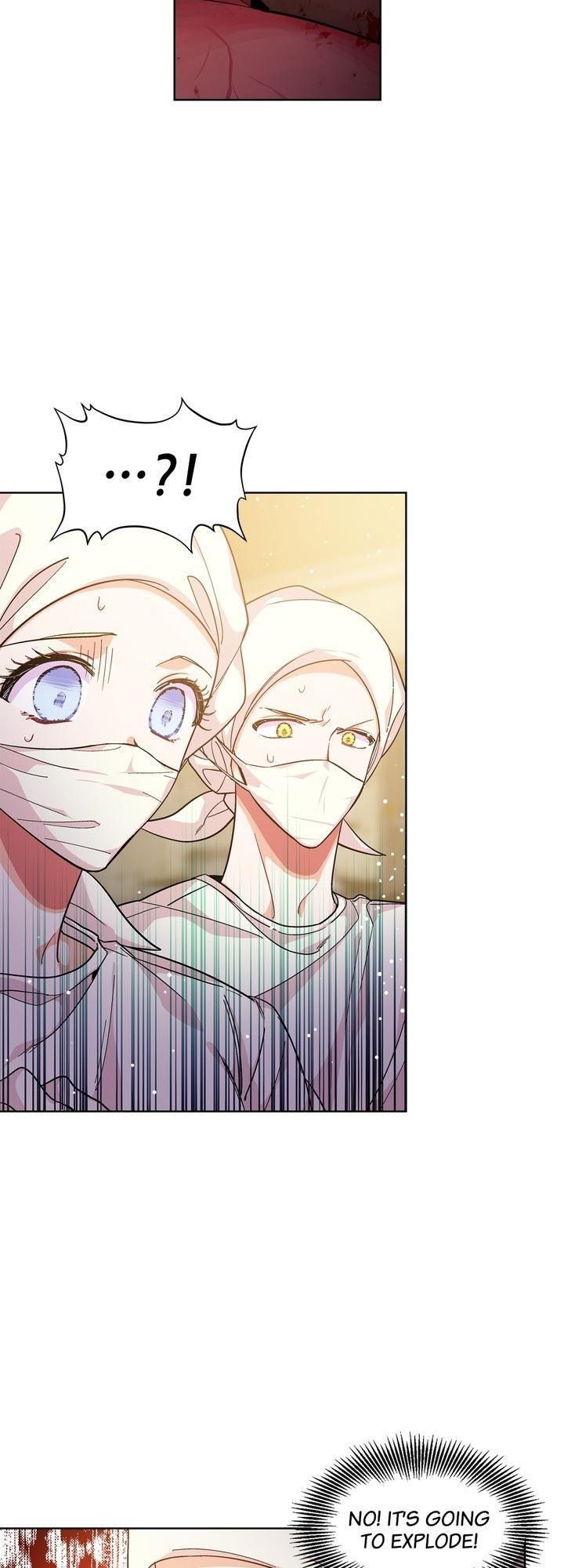 Doctor Elise ( Queen with a Scalpel ) Chapter 65 - page 15
