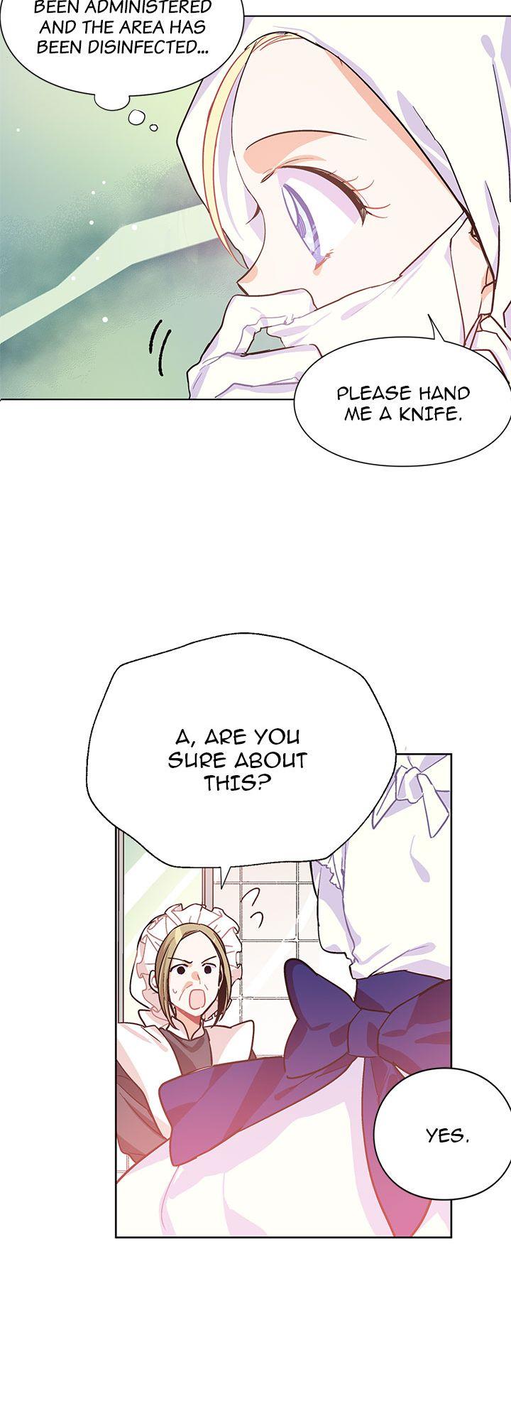 Doctor Elise ( Queen with a Scalpel ) Chapter 13 - page 31