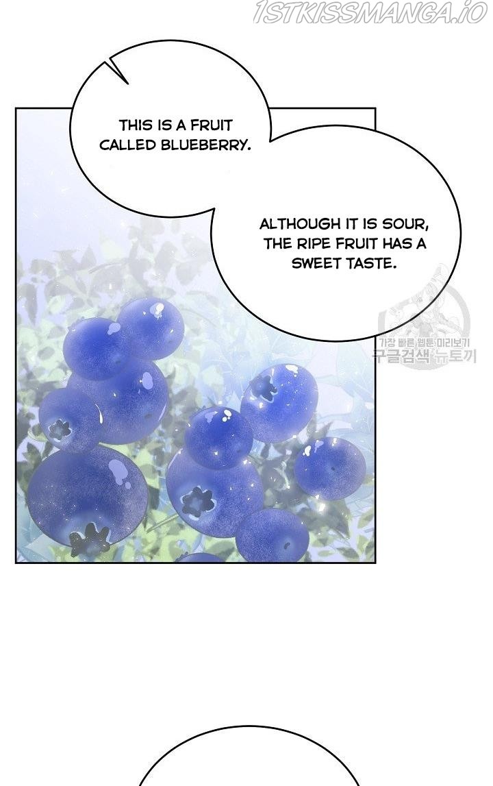 The Young Lady Tames the Male Leads chapter 8 - page 12