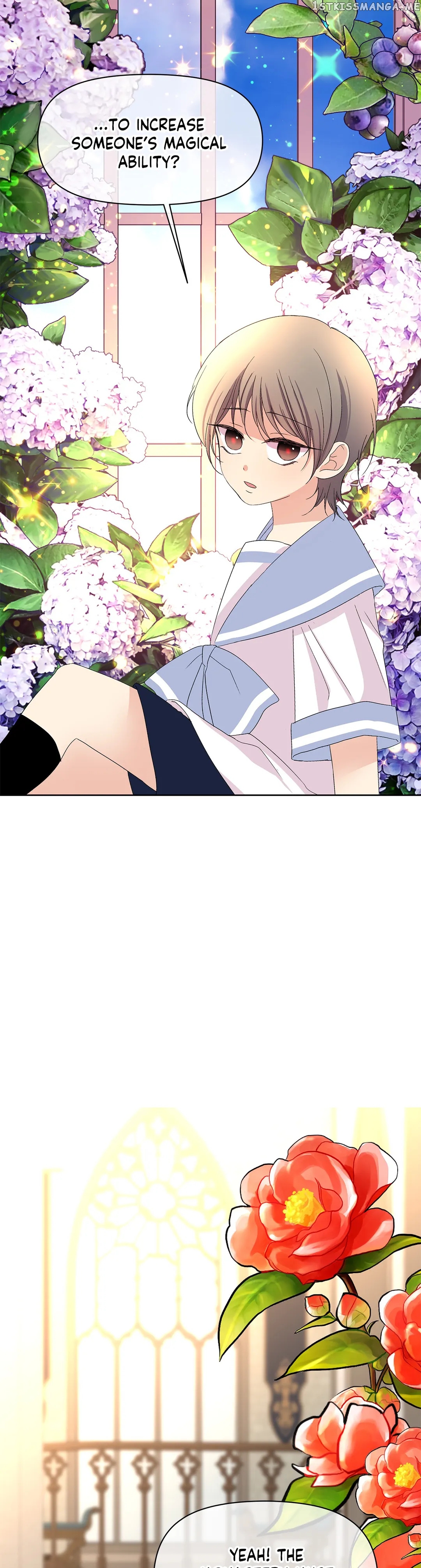 Limited Time Princess chapter 44 - page 10