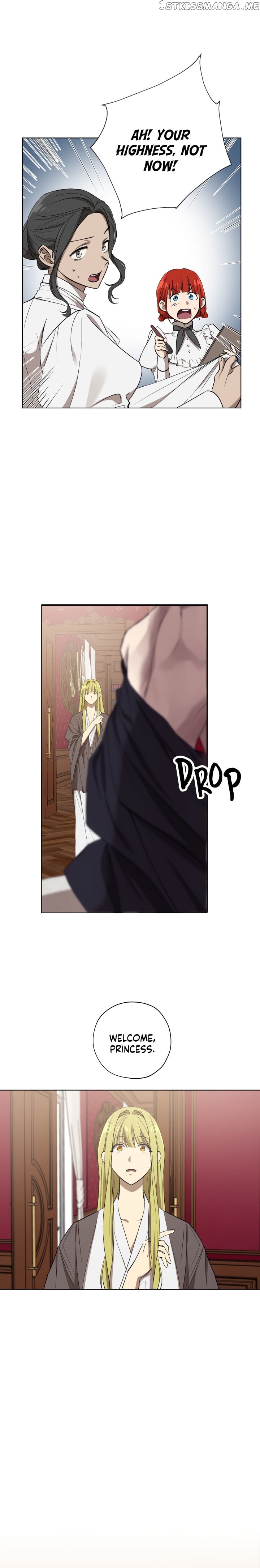 The Princess Imprints A Traitor chapter 17 - page 1