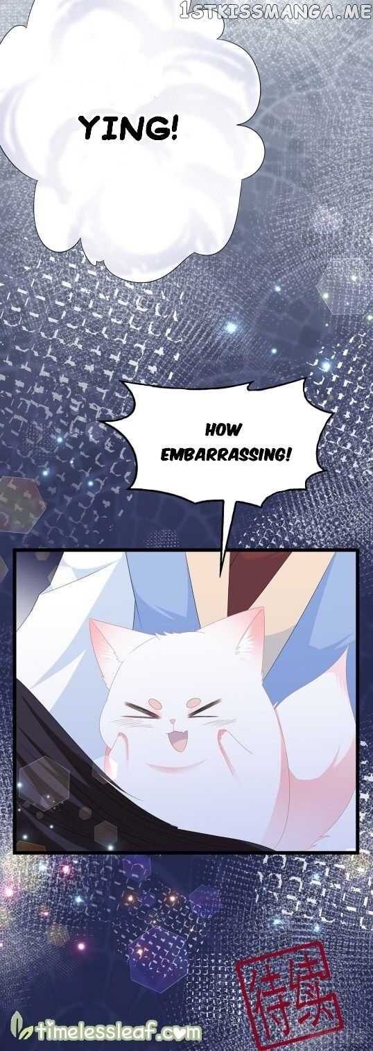 Fox Concubine, Don’t Play With Fire chapter 52.5 - page 19