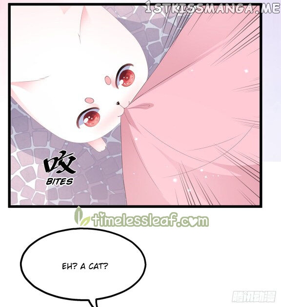 Fox Concubine, Don’t Play With Fire chapter 28.5 - page 11