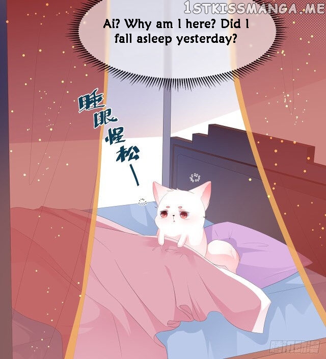 Fox Concubine, Don’t Play With Fire chapter 21 - page 1