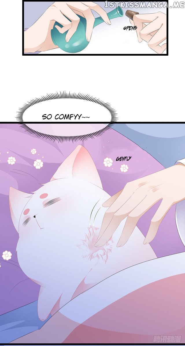 Fox Concubine, Don’t Play With Fire chapter 20.5 - page 12