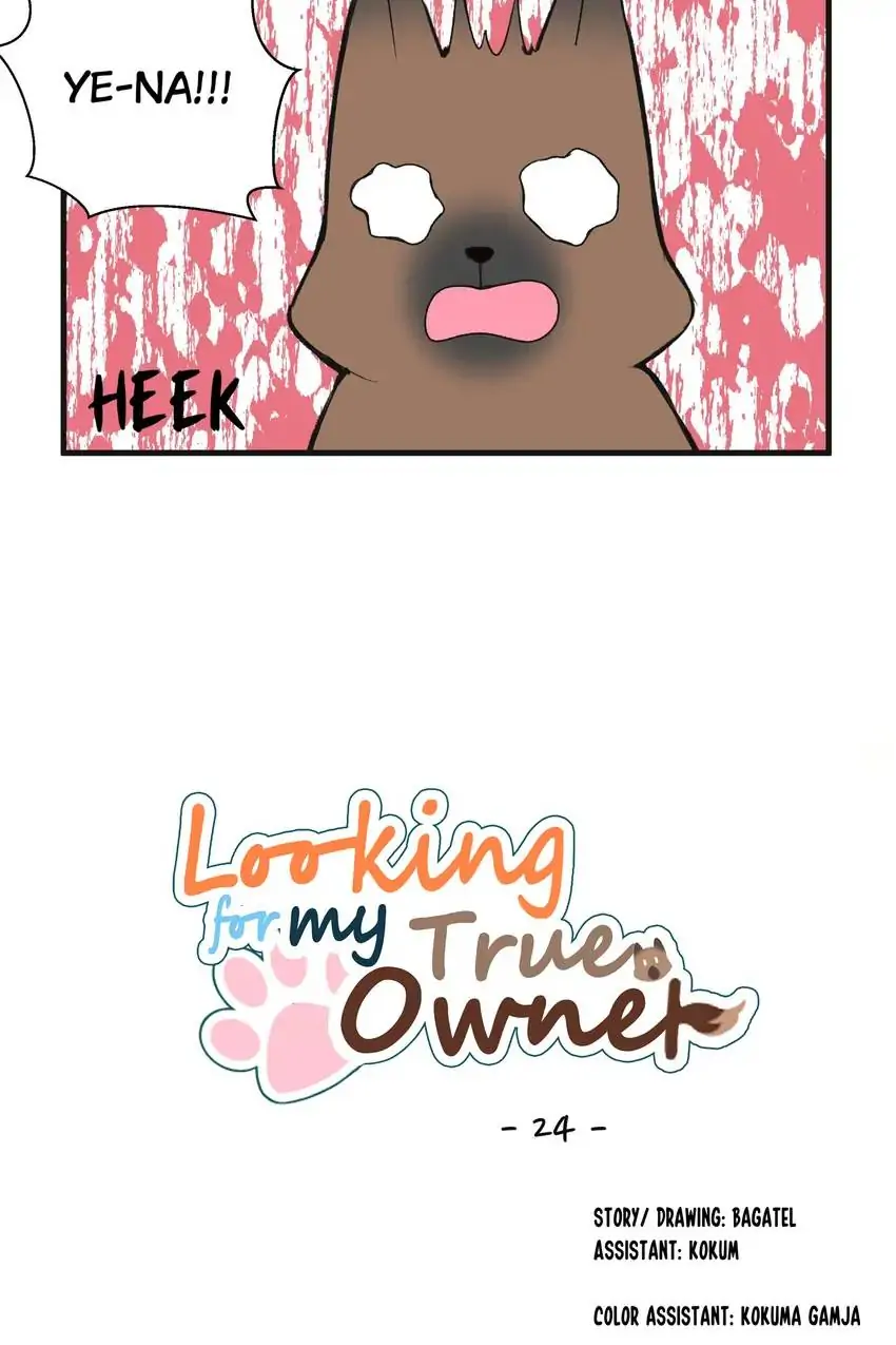 Looking For My True Owner Chapter 24 - page 13
