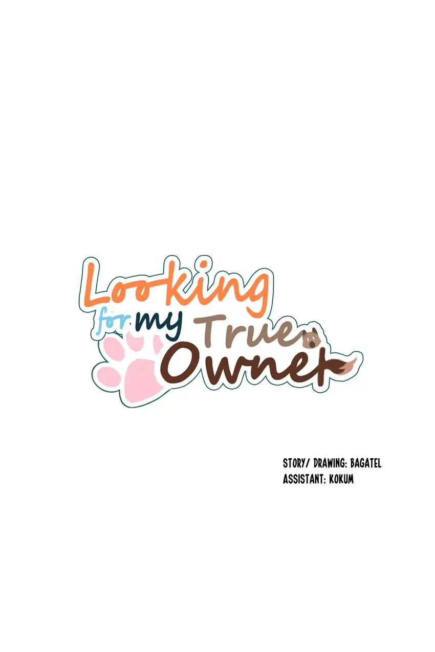 Looking For My True Owner Chapter 22 - page 1