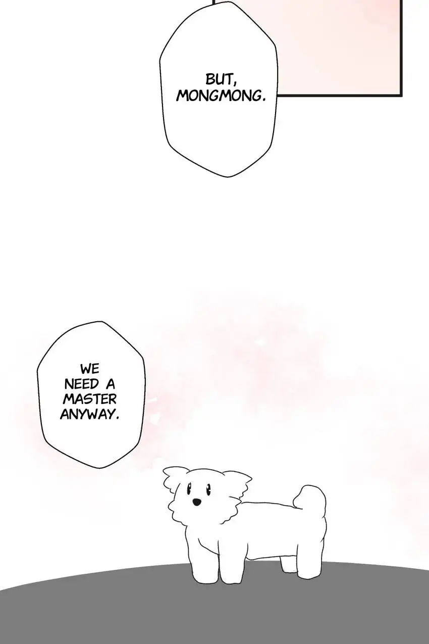 Looking For My True Owner Chapter 22 - page 32